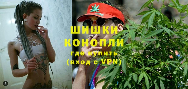 прущие грибы Заволжье