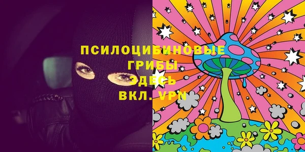 прущие грибы Заволжье