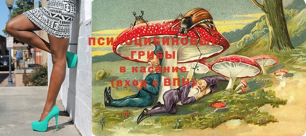 сатива Пестово