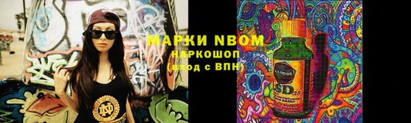 сатива Пестово