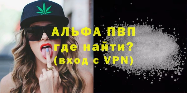 прущие грибы Заволжье